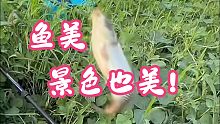 鱼美，景色也美！