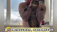 他好酷哦 会给猫猫狗狗正骨哎～