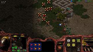 12-19 ZVP VS 郭倩 1