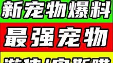 【星球重启】最强宠物爆料！游侠/宙斯喵！新职业爆料！新武器波江座源码专精搭配！50级开普勒港！#星球