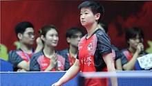 乒超半决赛即将挥拍，孙颖莎王曼昱王楚钦樊振东马龙出战，上