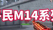 盘点平民M14系列武器#穿越火线手游 #cf15周年 #cfm #cf手游 #cf手游8周年