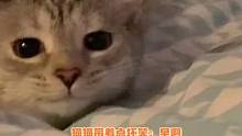 猫猫：早上好啊，准备好迎接我了嘛