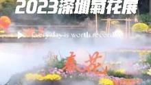 2023深圳菊花展，东湖公园总会场游玩攻略，赏花期从12月20日至12月29日，限时10天，快和“菊