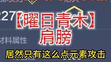 收集齐全啦！曜日青木肩膀居然只有这么点元素攻击 未来版本装备 #妄想山海 #体验服 #新装备 #曜日