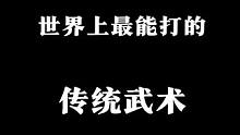 世界上最能打的传统武术，那因该是在古代，#形意拳 #八极拳 #格斗
