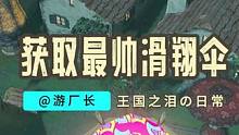 【王国之泪】最好看的滑翔伞布料！81处广告牌保姆级攻略来啦！ #塞尔达传说 #塞尔达传说王国之泪 #