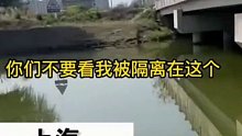 都说了“菜”不外露