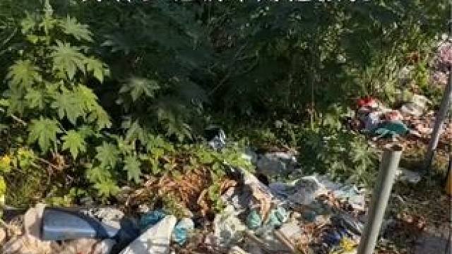 我发布了一个新视频，快来围观吧！