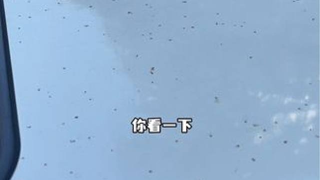 每一个爱车的人都要备一瓶在车上