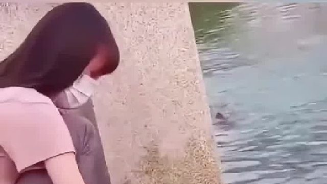 女子河边喂食乌龟，不料来了一只不速之客