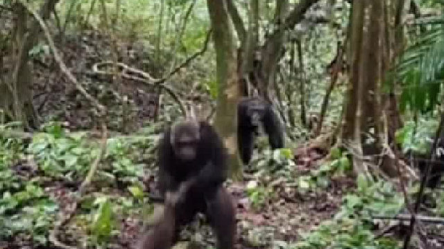 上山游玩看到这一幕