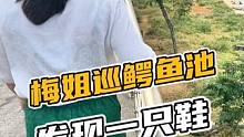 梅姐巡鳄鱼池，发现一只鞋#鳄鱼 #鳄珍 #鳄鱼小镇