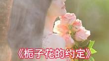 “若你心里只爱这栀子花，为何却选择了玫瑰花……”
