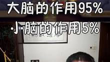 小脑的作用占多少？ 