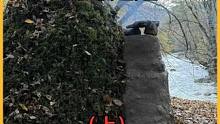#野外建造 #野外生存 这才是真正的视频减速带！！！！#庇护所建造 #荒野求生 #徒手建造房屋