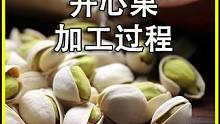 原来开心果是这样加工制作的！难怪那么多人都爱吃#开心果 #喵在其中 #坚果零食推荐 #涨知识 #科普