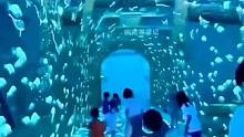 泉州5D视觉艺术馆#亲子游玩好去处、#周末去哪玩、#视觉盛宴跨年生活节 、#温暖跨年季