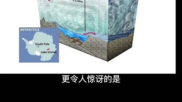 冰封下的南极还存在另一个世界？真是不敢相信