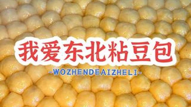 一到冬天我们东北农村就开始家家户户都包粘豆包，邻里乡亲的都来相互帮忙东北粘包你吃过吗？#东北粘豆包 