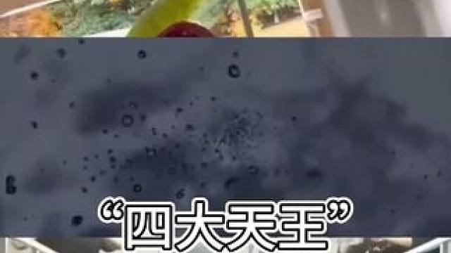 四大名场面#迷惑行为大赏 #娱乐 #看一遍笑一遍 #社会百态 #剧情