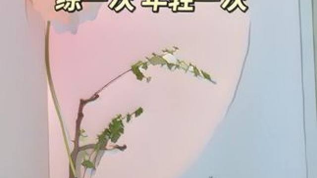 睡前阴瑜伽，女生必练，练一次年轻一次。一个月后记得回来感谢我 #瑜伽 #阴瑜伽 #床上瑜伽 #女生必