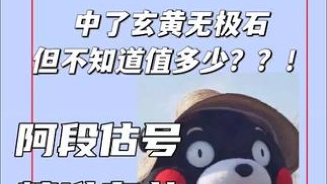 13.中了玄黄无极石，但不知道卖多少？#梦幻手游造梦计划 评论区指导他