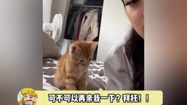 啊啊啊啊让我来，我来亲亲！！！