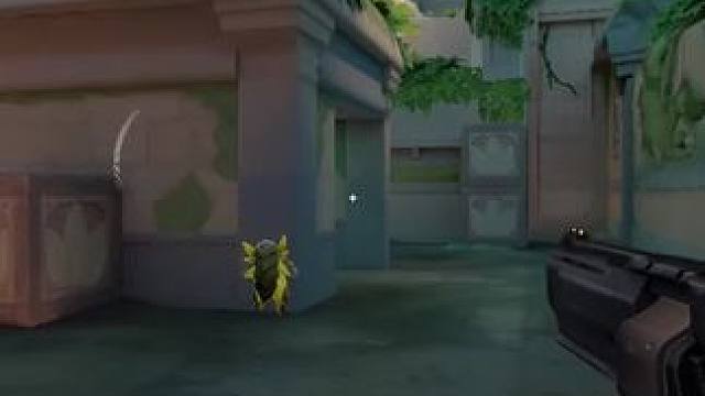 国内fps环境什么时候能真正得到改善呢#无畏契约