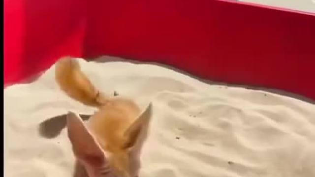 别耽误它去卖冰棍啊。。。