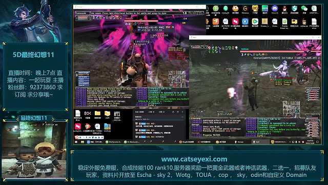 FFXI最终幻想11  美杜莎