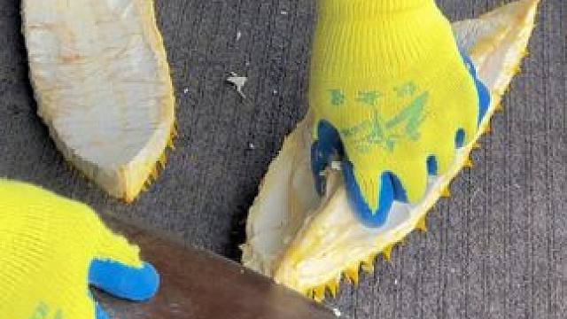 劳动者的智慧是无限的！榴莲皮这么贵，可不能浪费，要物尽其用～～#呲溜滑 #生活纪实 #榴莲皮 #冬季