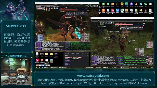 FFXI最终幻想11  guojaja