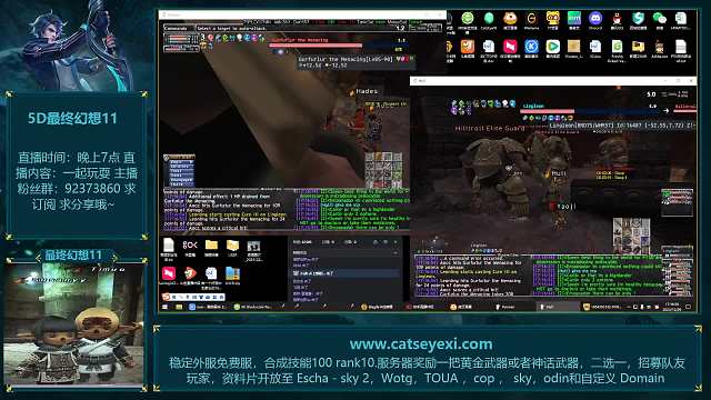 FFXI最终幻想11  gurf