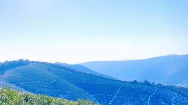 在爬山的路上，不追求速度和效率，而是享受一步一步攀登的过程，感受大自然的魅力。——一个舍不得删的库存