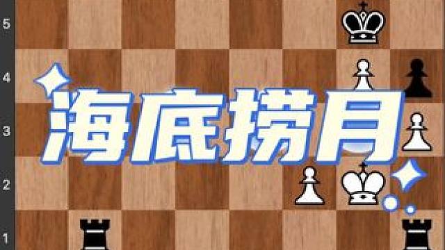 #国际象棋 #儿童 #比赛 #知识 #技能 国际象棋双车进攻，你能找到巧妙进攻思路和方法吗？