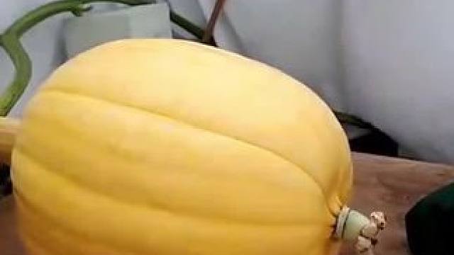 南瓜子仁是这么做出来的？#南瓜子仁 #制作过程