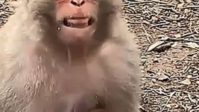 表嫂子说得真好#看一遍笑一遍