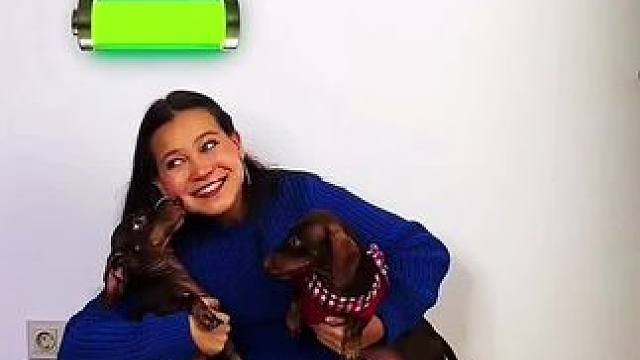 给狗子们传递能量，最终结果让人欣慰！#看一遍笑一遍 #老外真会玩 #沙雕老外 #意想不到的结局 #脑