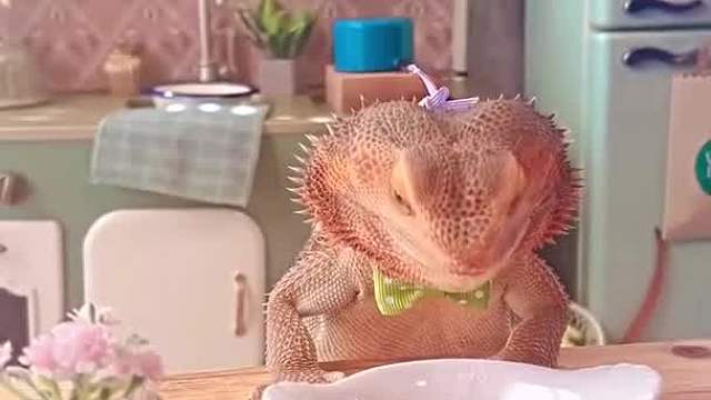 家里养的宠物，可爱吗？