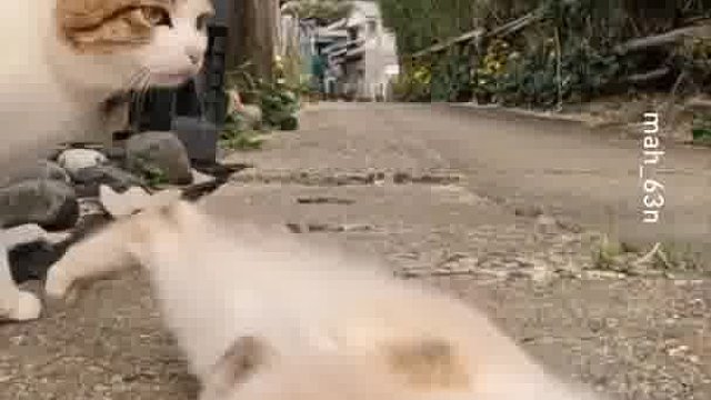 好变态的人类！