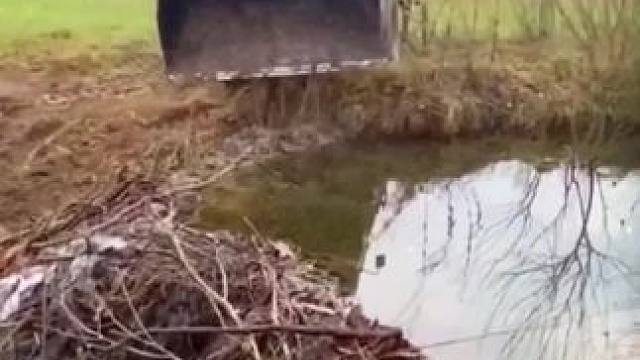 我发布了一个新视频，快来围观吧！