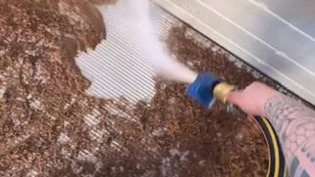 我发布了一个新视频，快来围观吧！