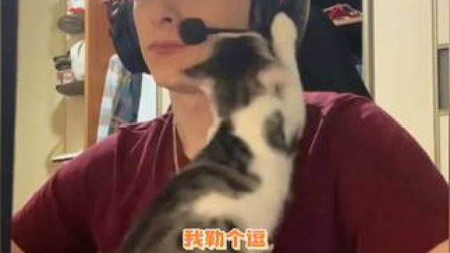 不是哥们，你是怎么抵挡住这只小猫的啊～