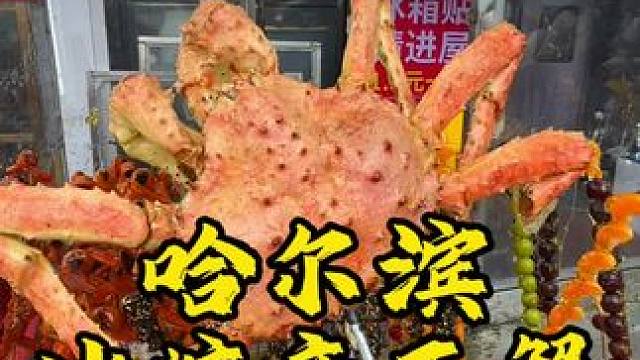 南方小土豆们，我们东北的冰糖帝王蟹见过吗？#哈尔滨 #这个冬天哈尔滨赢麻了 #南方小土豆 #街边小吃