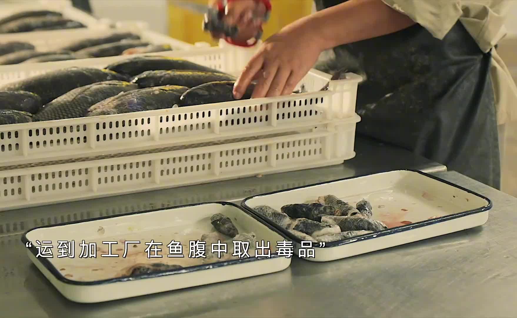 谁跟你说鱼越鲜活越贵，这么吃才最过瘾