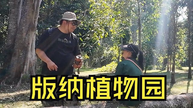 中科院西双版纳热带植物园，当我把拖挂房车开进去后