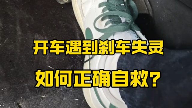 新手开车遇到刹车失灵，如何正确自救？来看看老司机自救