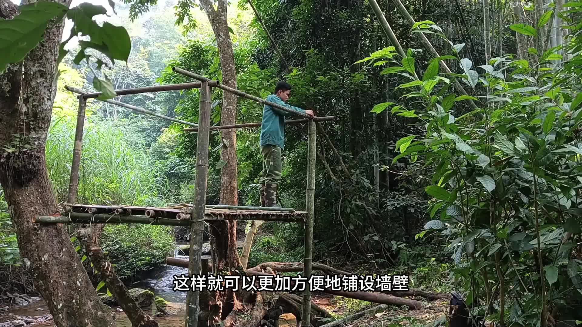 看起来不错的树屋