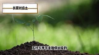 五行與長夏的奇妙聯(lián)系